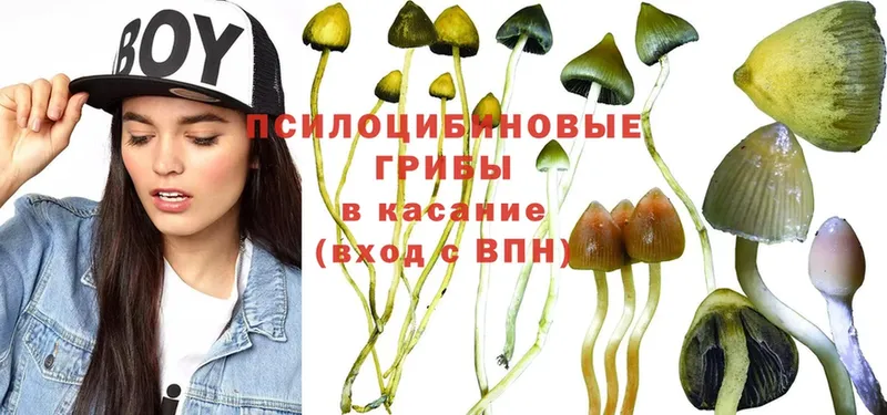 Галлюциногенные грибы MAGIC MUSHROOMS  OMG зеркало  Горно-Алтайск 